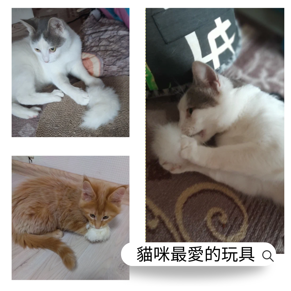 帶毛兔尾巴│貓狗零食、可食玩具│脫水乾燥│1入裝